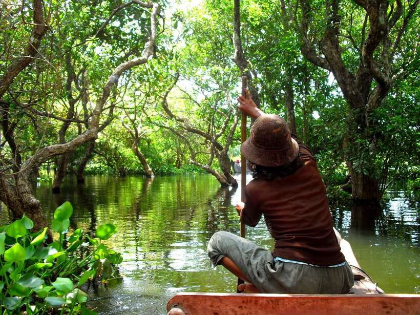 Kompong Phluk and Tonlé Sap Lake: Half-Day Tour - Tonlé Sap Lake cruise: freshwater views plus migratory birdwatching