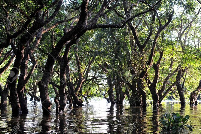 Kompong Phluk Village Tonle Sap Lake Half-Day Tour From Siem Reap - Getting to the water smoothly from Siem Reap