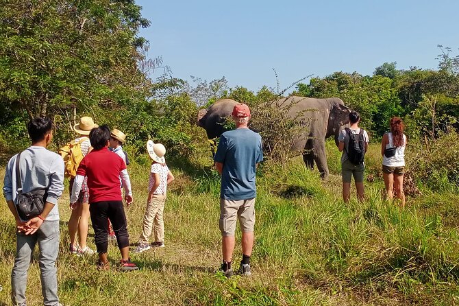 Kulen Elephant Forest and Tonle Sap Lake by Private Tour - The Phnom Kulen drive, timing, and what an 8-hour private day feels like