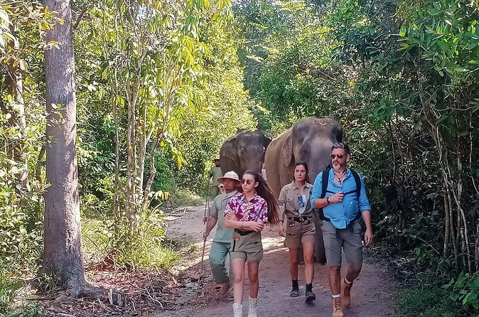 Kulen Elephant Forest and Tonle Sap Lake by Private Tour - Price and logistics: is $199 per person good value for this mix?
