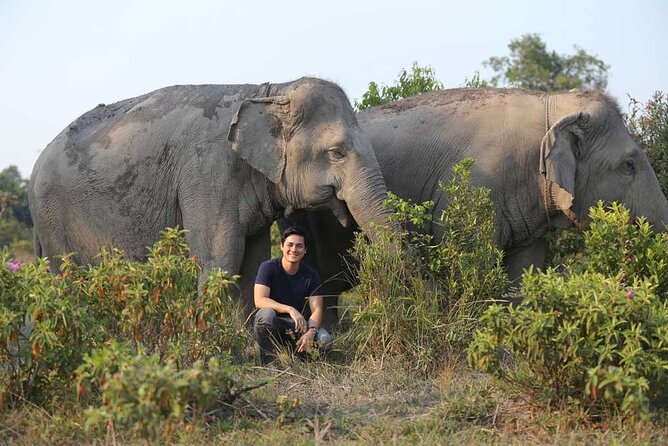 Kulen Elephant Forest & Kampong Phluk by Private Tour - Your first stop: the Kulen Elephant Forest experience
