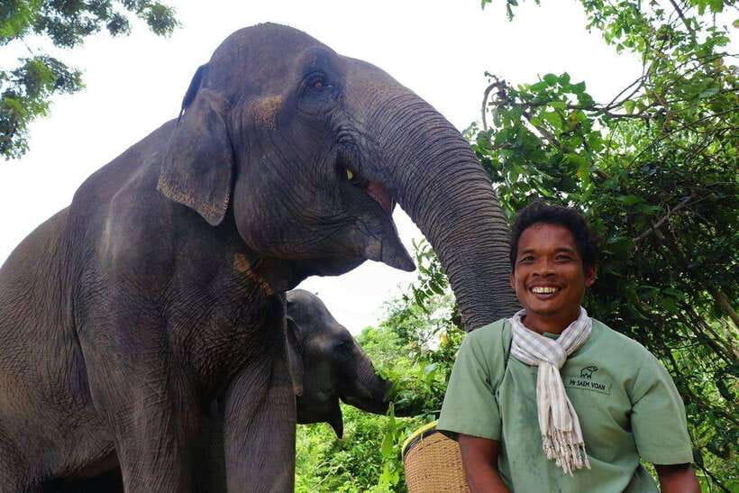 Kulen Elephant Forest Siem Reap in Small Group - Getting from Siem Reap to Kulen: the 1-hour scenic ride