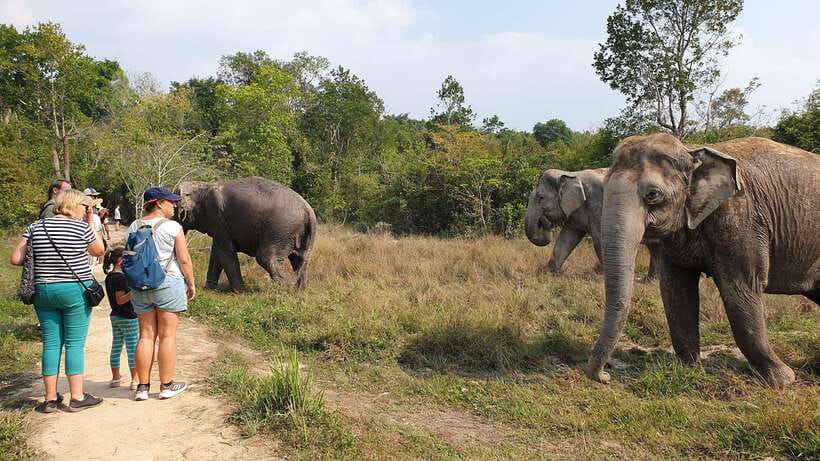Kulen Elephant Forest & Tonlesap Lake - Waterfalls and jungle wildlife: why the trek feels like more than a transfer