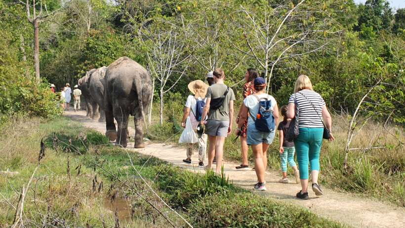 Kulen Elephant Forest & Tonlesap Lake - Local life on stilts: seeing institutions, not just houses