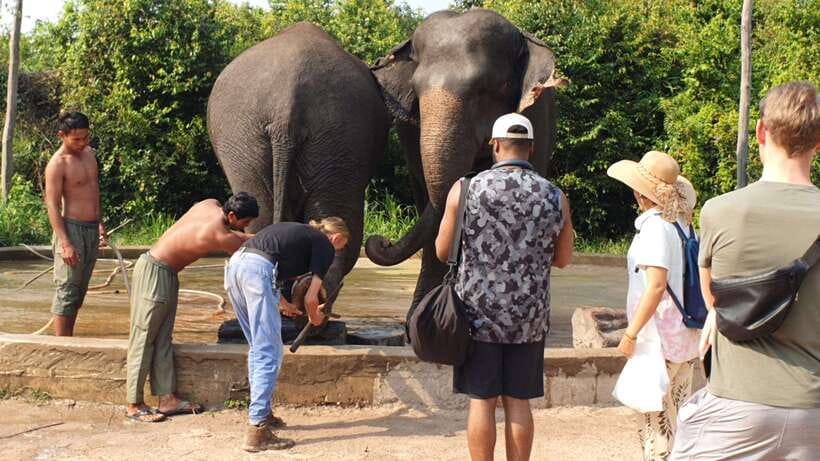 Kulen Elephant Forest & Tonlesap Lake - What to bring, and how physically demanding it really is