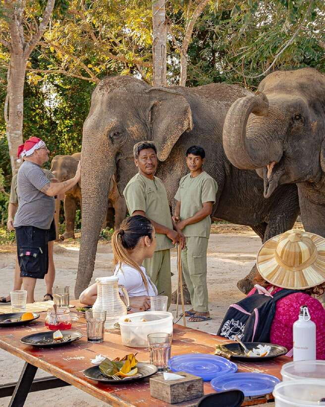 Kulen Elephant Forest & Tonlesap Lake - The guided jungle trek: 2 kilometers, real sights, and muddy moments