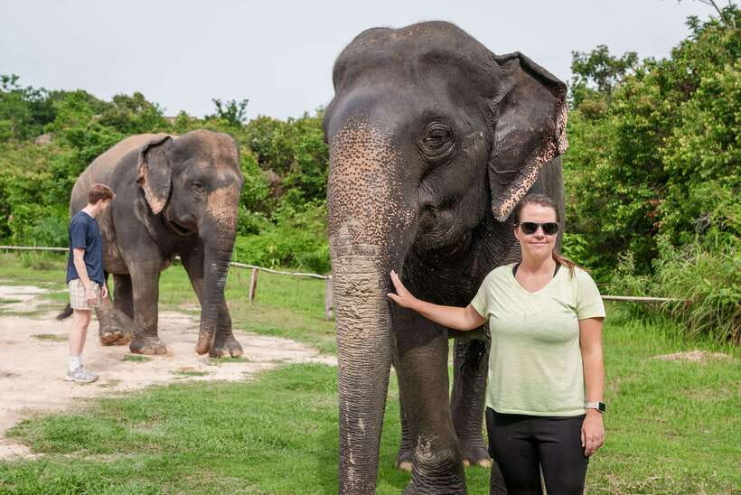 Kulen Elephant Forest Tour with Hotel Pick-up & Drop off - Pickup and Transfers in Siem Reap: How the Day Starts