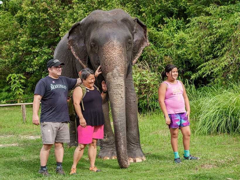 Kulen Elephant Forest Tour with Hotel Pick-up & Drop off - Lunch for Morning, Snack for Afternoon: What You’ll Eat