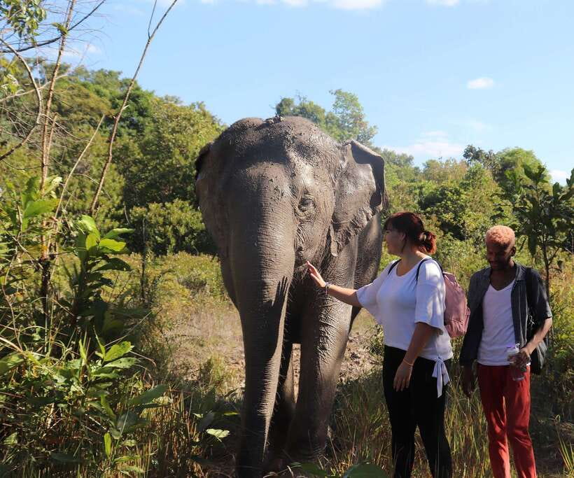 Kulen Mountain Day Trip with Picnic & Kulen Elephant Forest - Morning Pickup: Village Roads to Phum Preah Dak
