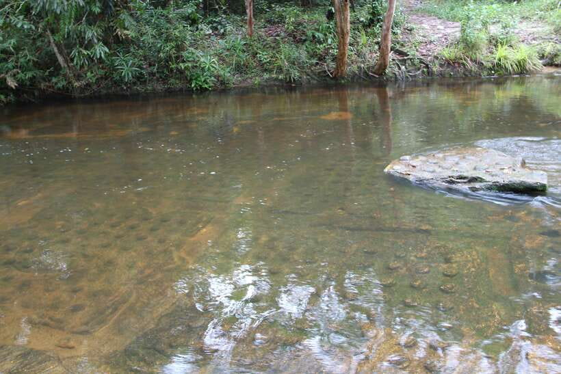 Kulen Mountain: Full-Day Private Waterfall Tour - Price and value: what $175 really covers