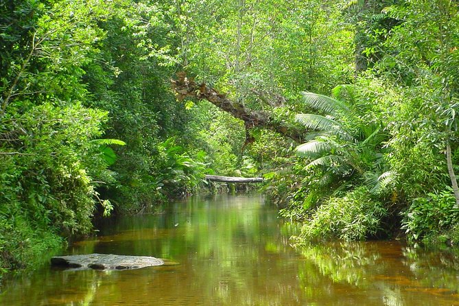 Kulen Waterfall and 1000 Lingas River Private Tour - What the Private Guide Really Changes for You