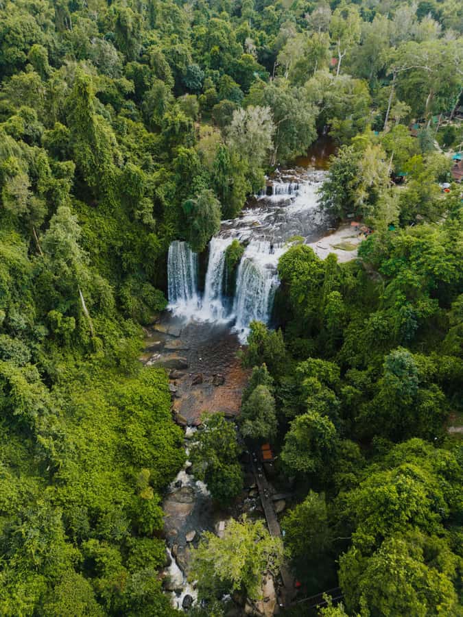 Kulen Waterfall: Rise and Shine with Cliff, Village w/ Guide - Sugar palm cake village: a short stroll that adds local flavor