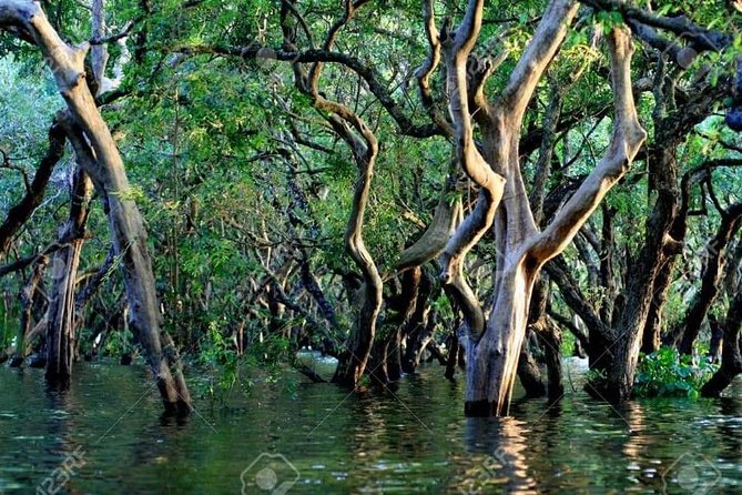 Mechrey Floating Village Tour & Mangrove from Siem Reap - Private guide energy matters: when Thy and Sythat set the tone