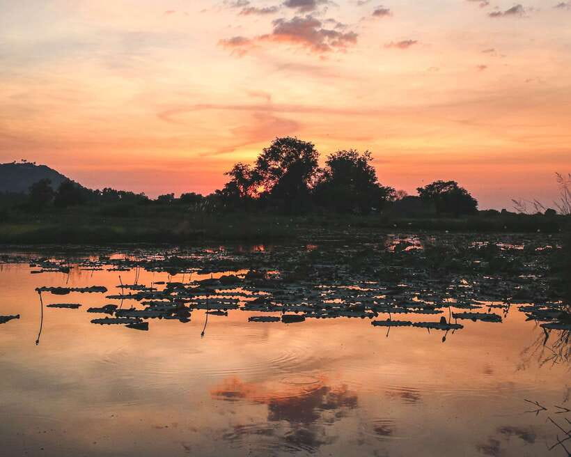 Old Siem Reap Sunset Food Tour by Tuk-Tuk - Food, beer, and value: what you actually get for $79