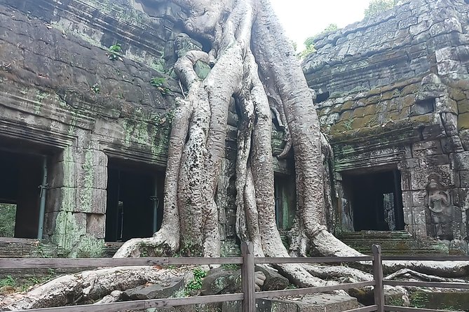One day Angkor temple tour with private driver - Lunch Break That Keeps the Day on Track