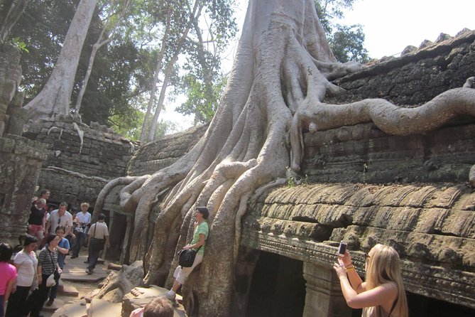 One Day Angkor World Heritage Tour - Ta Prohm: jungle vibes, movie fame, and quick immersion
