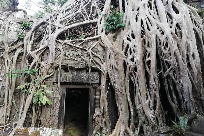 One Day Angkor World Heritage Tour - Comfort details that make a difference in Siem Reap heat