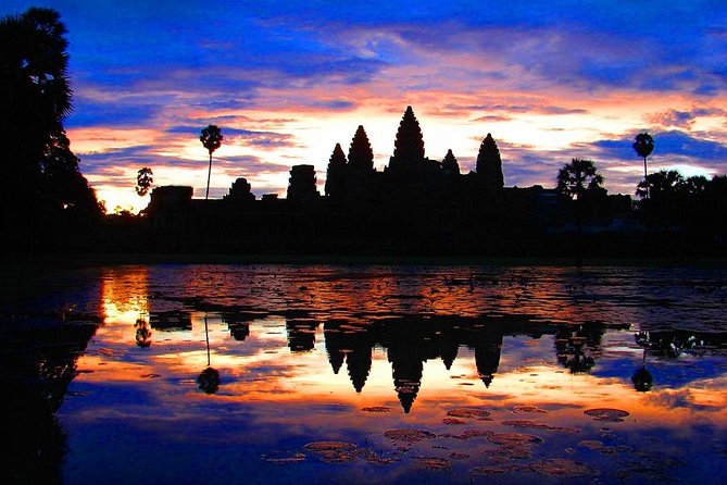 One Day tour with sunrise in car with A/C or Van & Guide. - Ta Prohm later in the day: set expectations for shade and roots