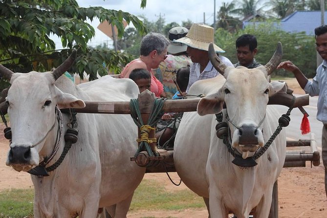 Ox-cart Culture Tour, Countryside Experince in Siem Reap - Key highlights to know before you go