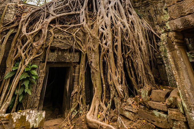 Personalised Angkor Wat Day Tour by an Air-conditioned Car - Why this private Angkor Wat day tour feels easier than doing it on your own