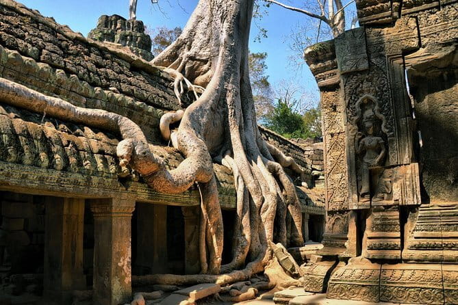 Personalised Angkor Wat Sunrise Off-the-Beaten Track Tour - Ta Nei: The Jungle Ruin That Breaks the Usual Pattern