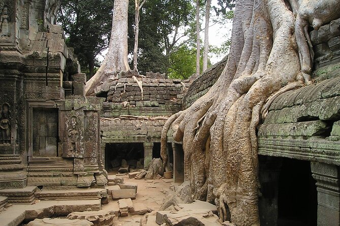 Personalised Angkor Wat Sunrise Tour by an air-conditioned car - Why a 5:00 am start actually makes sense