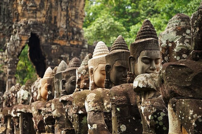 Personalised Angkor Wat Sunrise Tour by an air-conditioned car - Ta Prohm: trees, ruins, and the film-factor