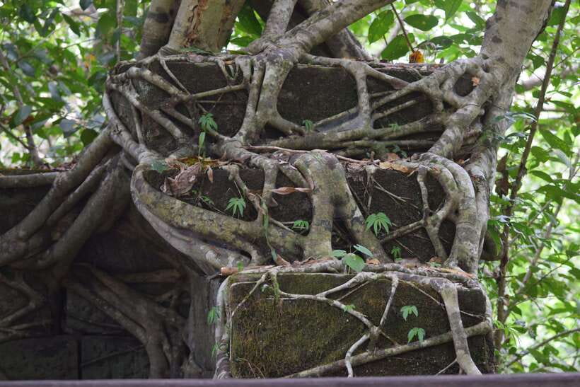 Prasat Thom, Koh Ker Group & Beng Mealea Full-Day Tour - Should You Book This Tour?