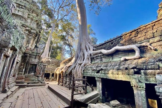 Preah Khan, Ta Prohm, Bayon Off Beaten Track - Price and value for a private group of up to 3