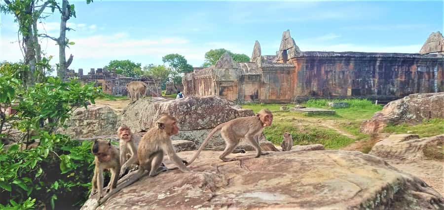 Preah Vihear Temple Koh Ker & BengMealea Tour from Siem Reap - Stop-by-stop: Preah Vihear temple on the Dangrek Mountains