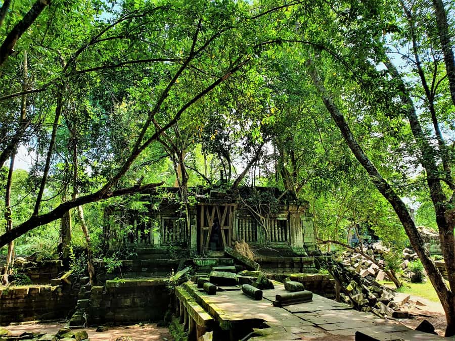 Preah Vihear Temple Koh Ker & BengMealea Tour from Siem Reap - Koh Ker: why it feels different from the big names