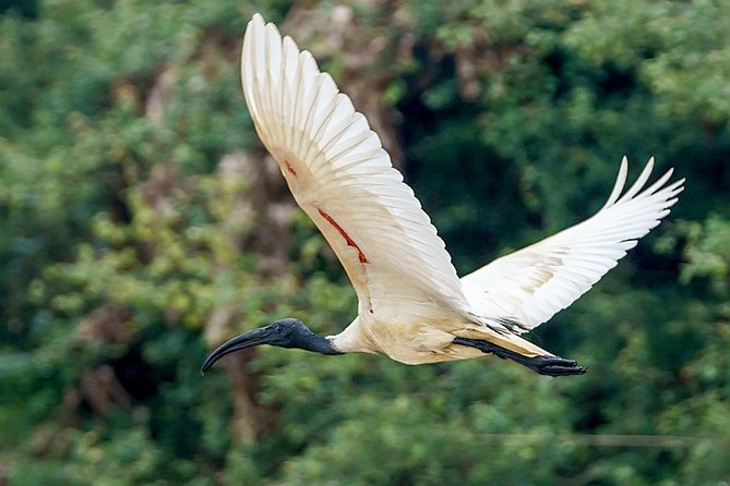 Prek Toal Birds Sanctuary and floating Village Private Day Tour - Price and logistics: what $170.05 buys you