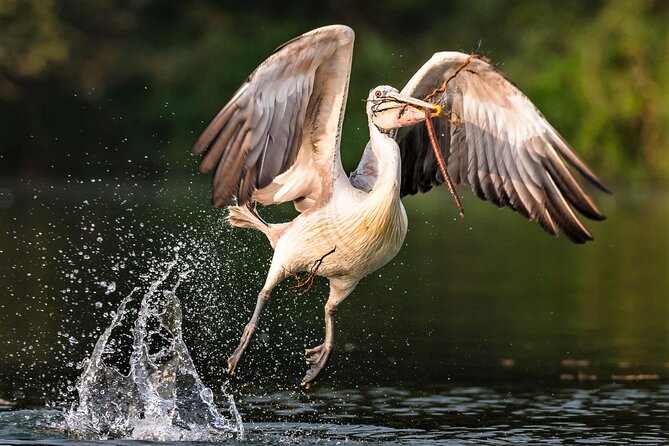 Prek Toal Birds Sanctuary and floating Village Private Day Tour - How the private boat day flows from Siem Reap to Tonlé Sap