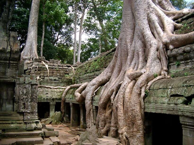 Private Angkor Sunrise, Guide Breakfast and Tuktuk included - Elephant Terrace at 10:00am, then Bayon’s face towers inside Angkor Thom
