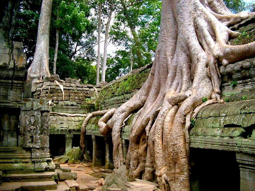Private Angkor Sunrise, Guide Breakfast and Tuktuk included - What’s included, what’s not, and what to pack for Angkor mornings