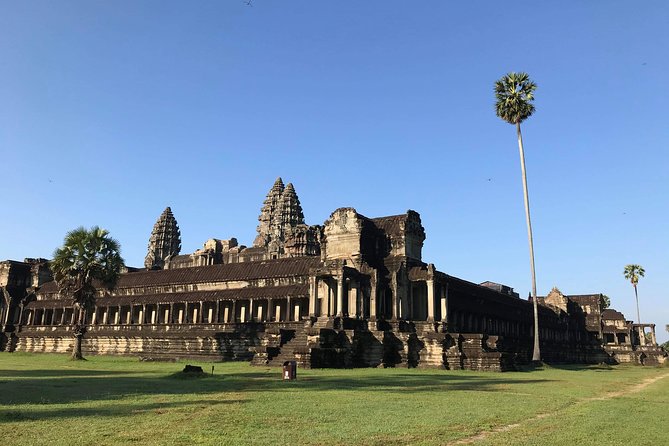 Private Angkor Sunrise Guided Tour - Ta Prohm, the famous Tomb Raider temple, with a guide to interpret it