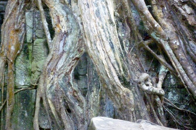 Private Angkor Wat Day Tour - Best of Angkor - Ta Nei: the temple stop that helps you breathe