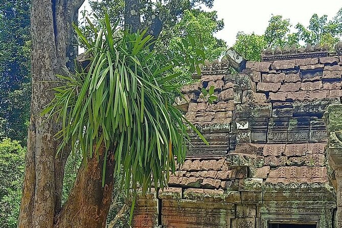 Private Angkor Wat Guided Sunset Tour - Ta Phrom, Elephant Terrace, and Leper King Terrace: Texture, Symbolism, and Stories