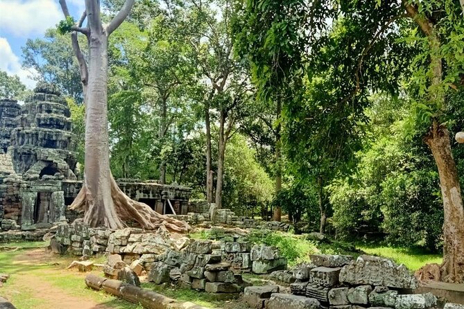 Private Angkor Wat Guided Sunset Tour - How a Private Guide Improves Your Angkor Day (Even If You Have Been Before)