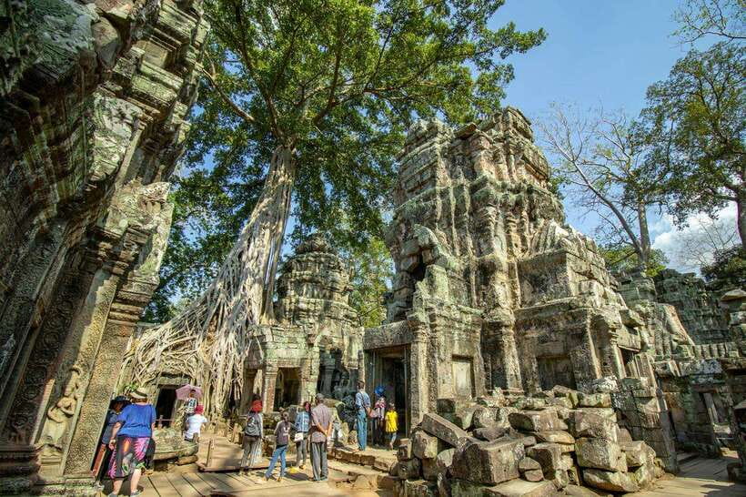Private Angkor Wat Sunset Tour with Lunch and Snack Included - Victory Gate and Ta Prohm: architecture meets drama
