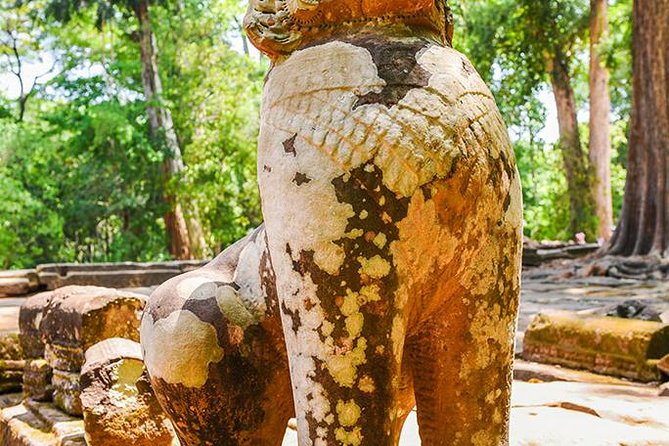 Private Full-Day Angkor Temple and Sunset Viewing with Lunch - Lunch and the Heat: How to Pace Yourself