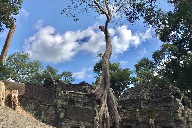Private Guided Angkor Wat Tour by Lady Tuk Tuk with Monk Blessing - Ta Prohm Before the Crowds: Jungle Roots and Temple Atmosphere
