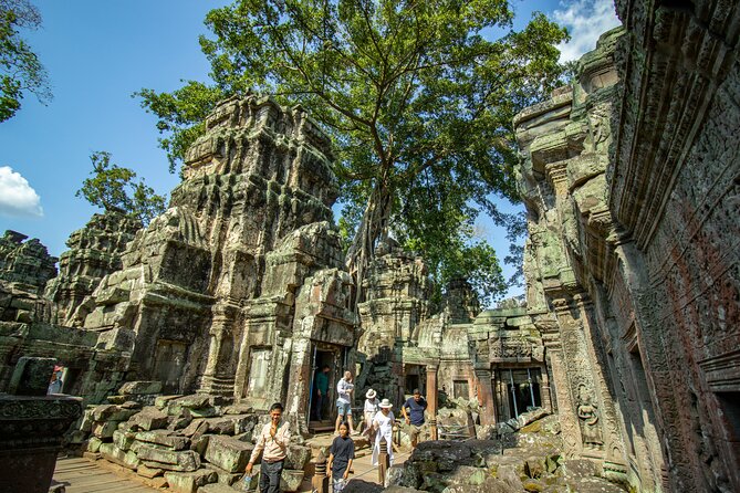 Private Guided Tour To Angkor Wat & Its Surrounding-Angkor Park - Ta Prohm: the jungle ruins finale and the movie connection