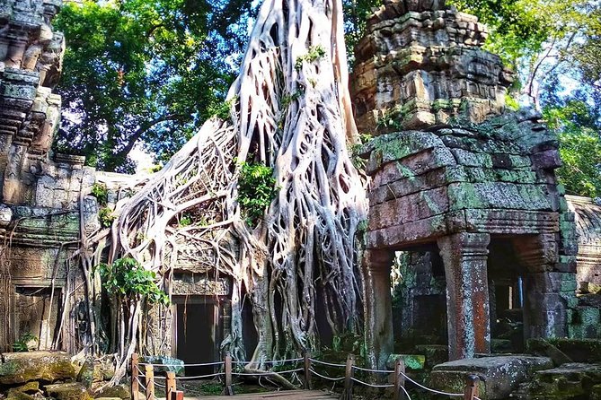 Private Guided Tours-Sunrise Angkor Wat, Ta Prohm, Bayon and more - Angkor Thom after lunch: Victory Gate and the elephant terrace
