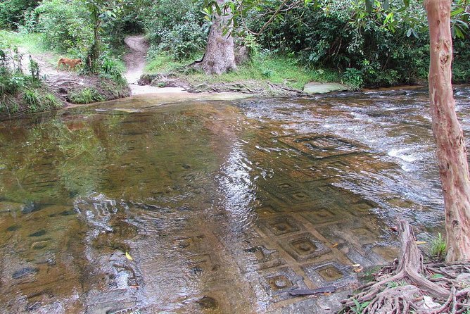 Private Kulen Mountain and Beng Mealea Temple Tour - Price and Logistics: What Your $135 Actually Buys