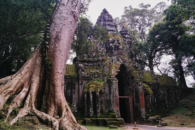 Private One Day Trip-The Best Experience in Siem Reap - What You Pay for This $80 Private Temple Day