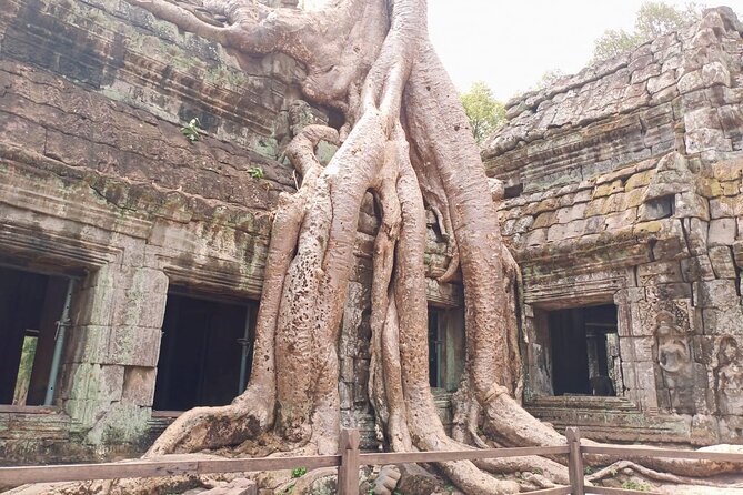Private One Day Trip-The Best Experience in Siem Reap - Angkor Wat, Suryavarman II, and Why It Takes the Spotlight