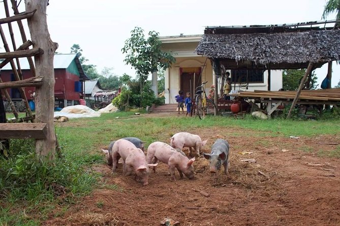 Private Ox Cart Ride and Local village Experience from Siem Reap - Comfort details: cold towel, cold water, and what to pack