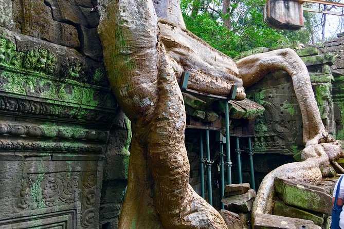 Private Siem Reap 4 Days: Full Exploration of the Angkor Complex - Day 4 Tonle Sap and Kampong Phluk: Cambodia beyond Angkor