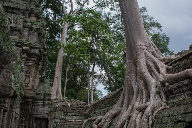 Private Siem Reap Airport Transfer to hotel in town - SAI to Siem Reap town: why prebooking saves your first day